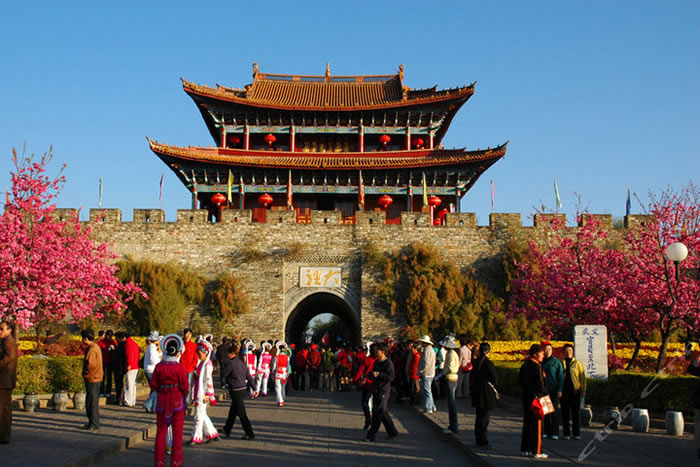 �����ų�